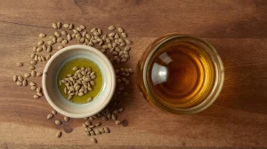 hemp-oil-vs-cbd-oil