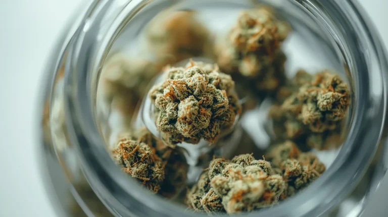 diy-cbd-oil