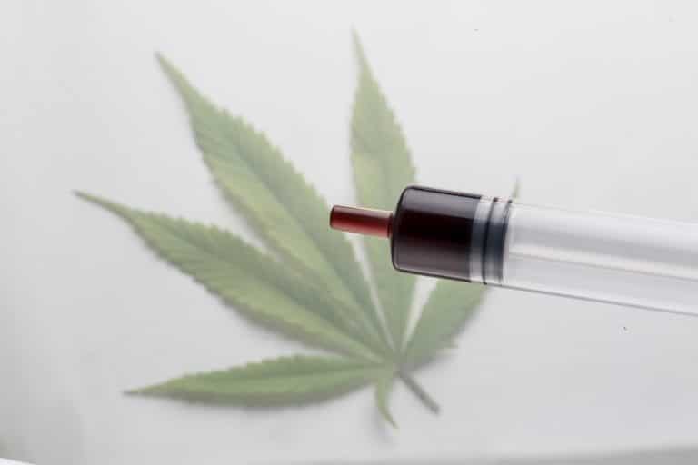 CBD Oil Color Guide