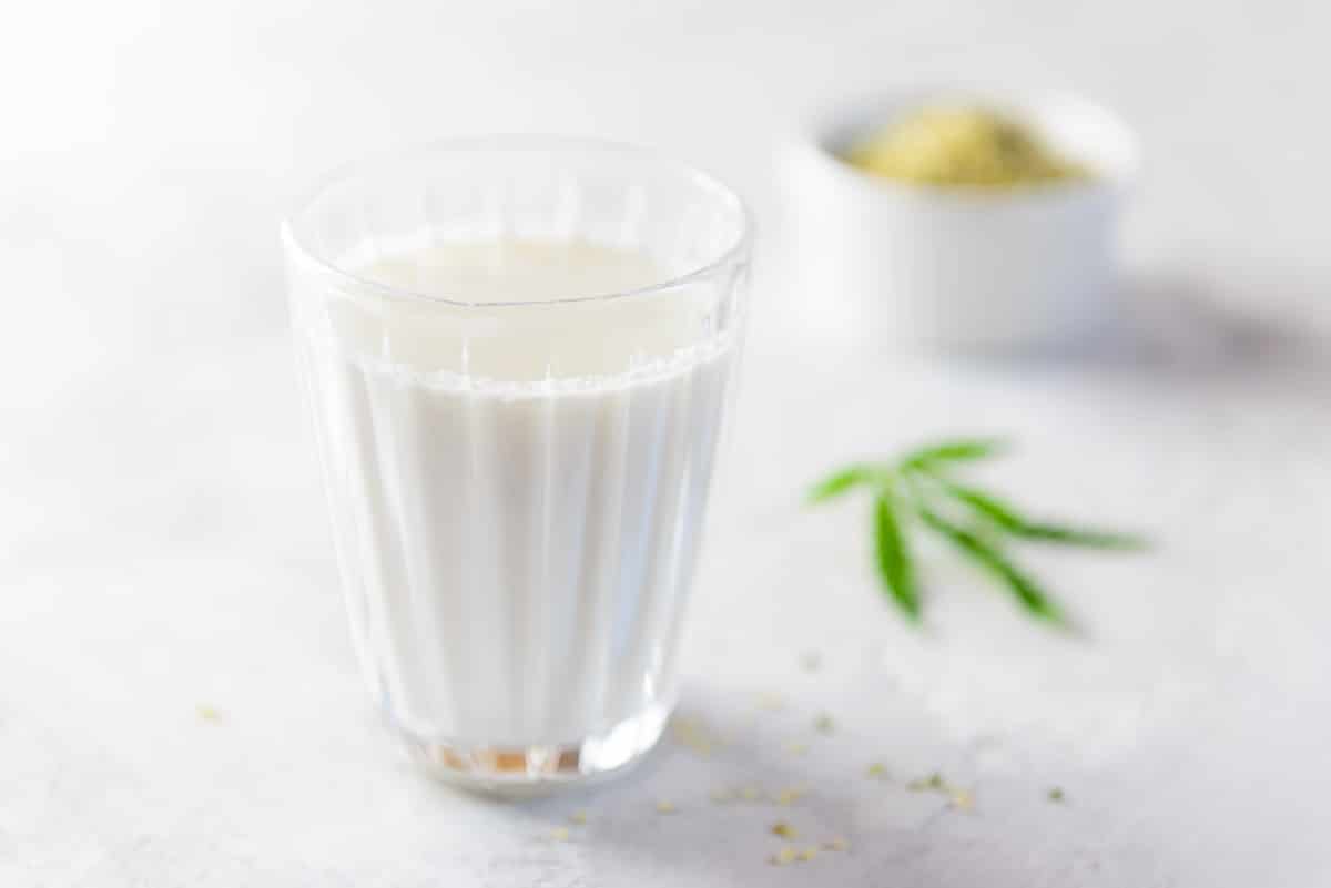 Cannabis Infused Milk Recipe