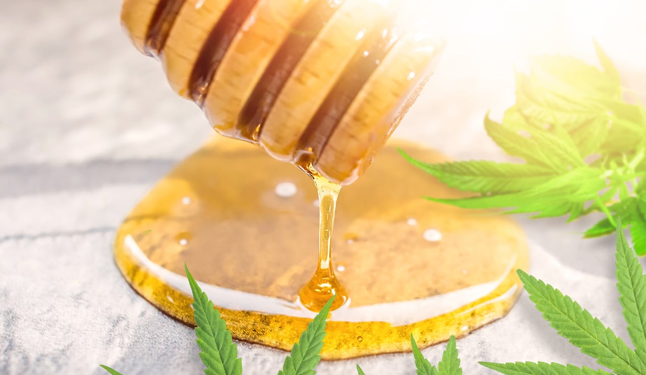 Infusing Honey with CBD from Hemp