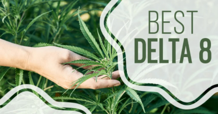 Top Delta 8 THC Brands for Delta 8 Gummies, Marijuana Edibles, Carts, THC Tinctures