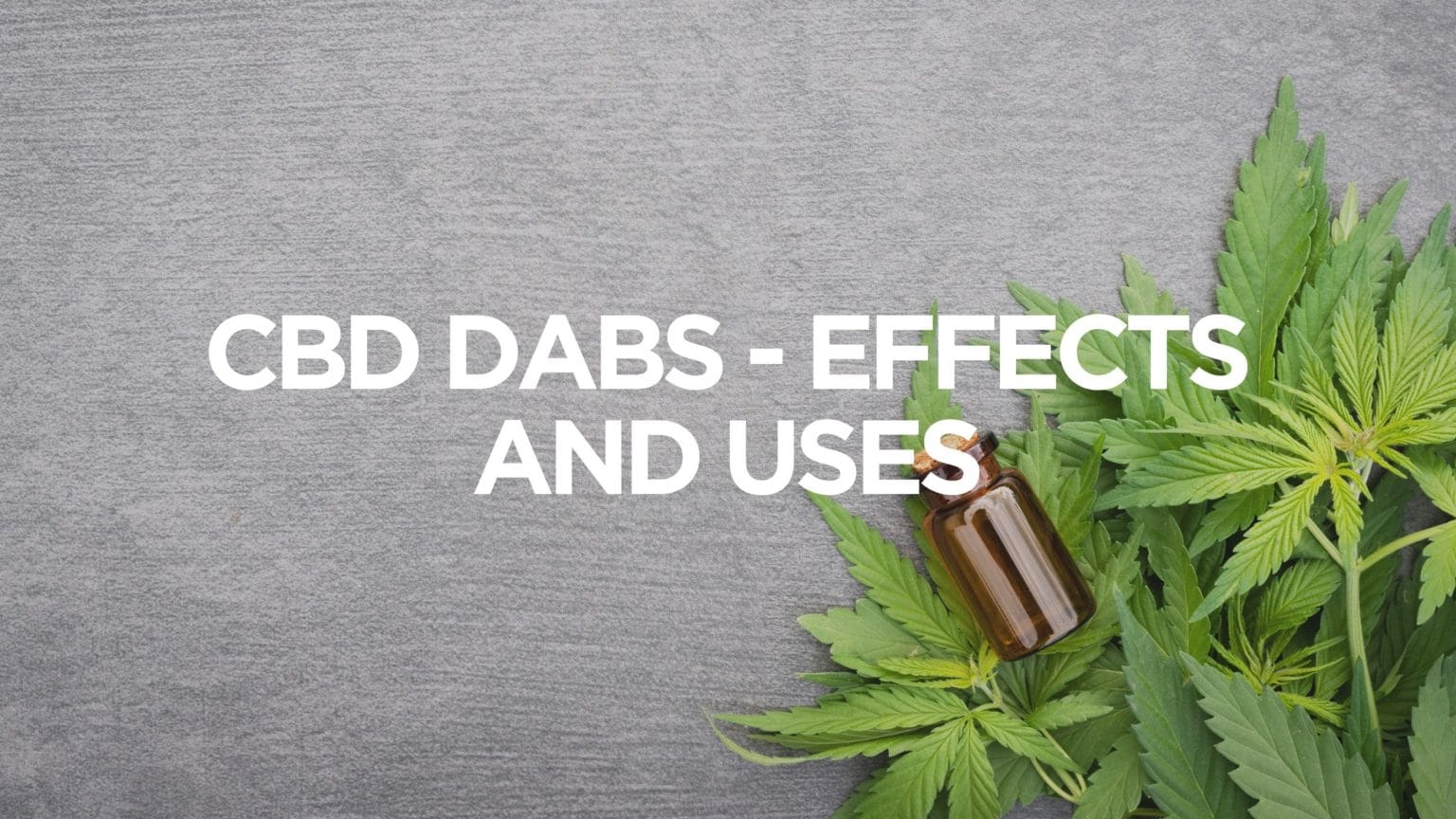 CBD Dabs Effects and Uses