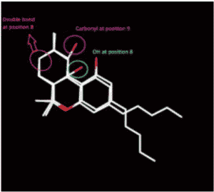 10-Hydroxy-9-oxo-Δ-8-tetrahydrocannabinol