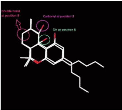 What is 10-Hydroxy-9-oxo-Δ-8-tetrahydrocannabinol?