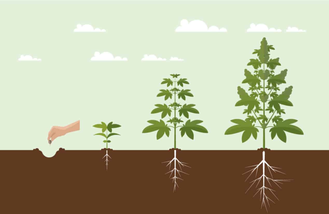 Thank you for helping our small business grow