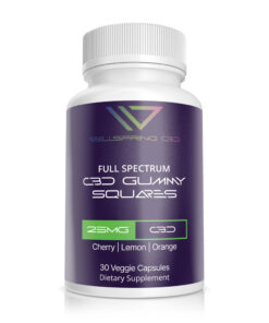 Best Full Spectrum CBD Gummies - WellspringCBD.com