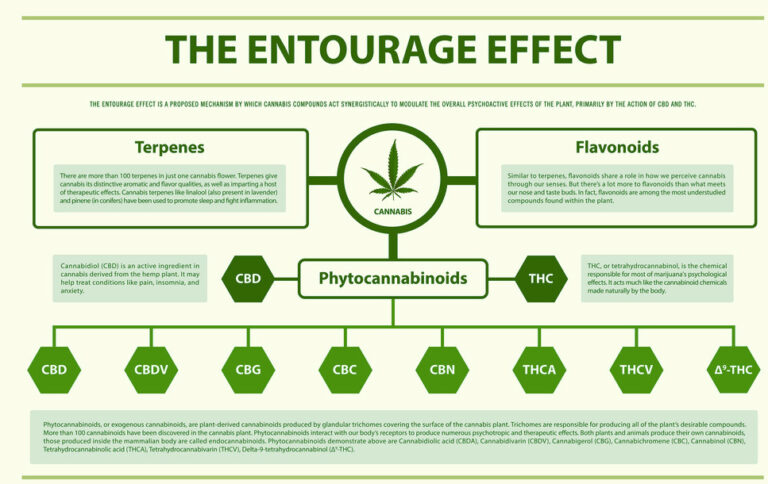 THCa and the Entourage Effect
