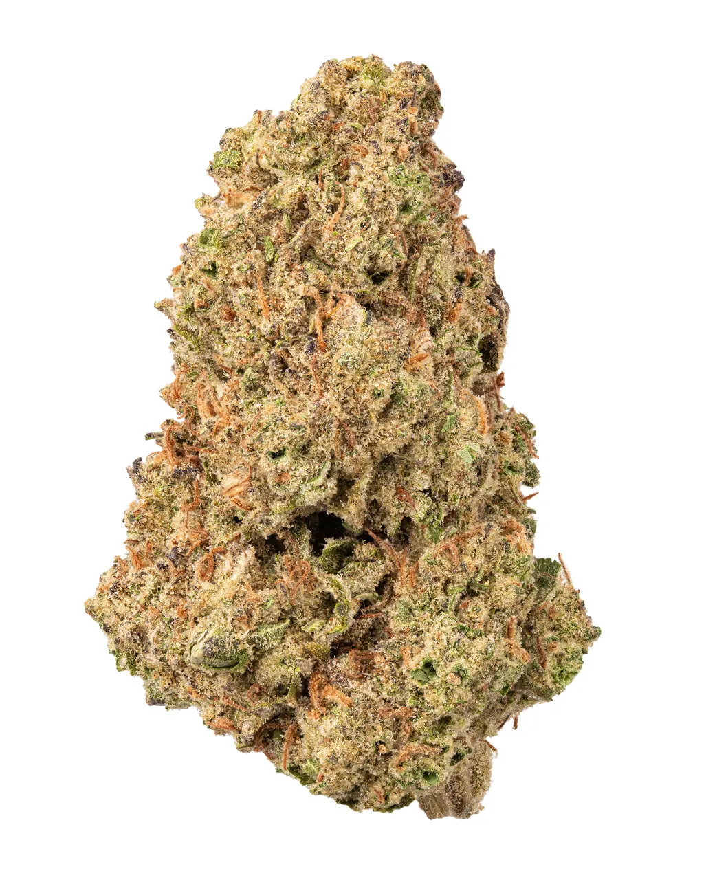 sunset sherbert x biscotti thca hemp flower