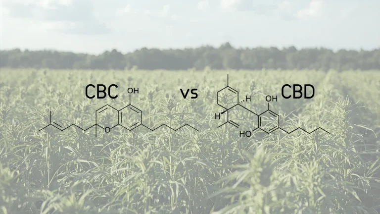 CBC vs CBD: Key Differences, Benefits, and Your Guide to Choosing the Right Cannabinoid